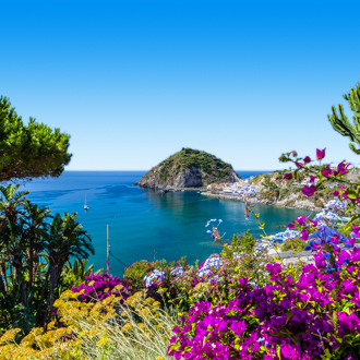 Kust bedekt met bloemen Ischia, Italië