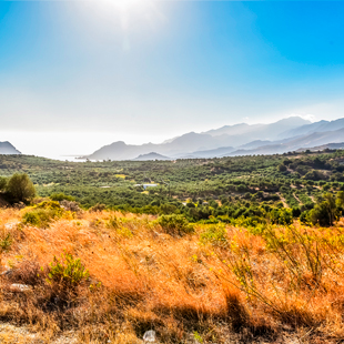 Natuur bij Plakias in Kreta