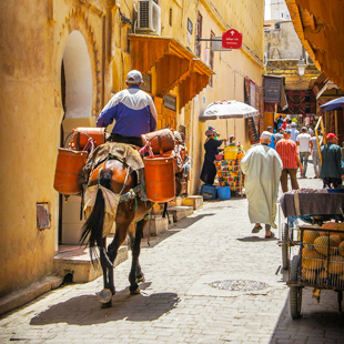 Smalle straatjes in de Medina van Fes