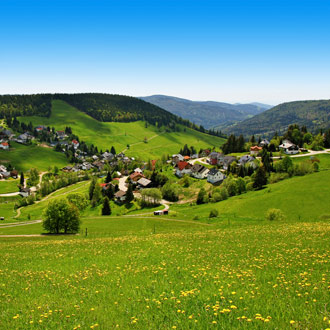 Groene berg met bomen en huisjes Schwarzwald
