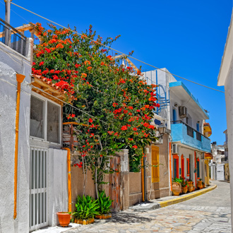 Klein straatje met gekleurde bloemen in Ierapetra op Kreta, Griekenland