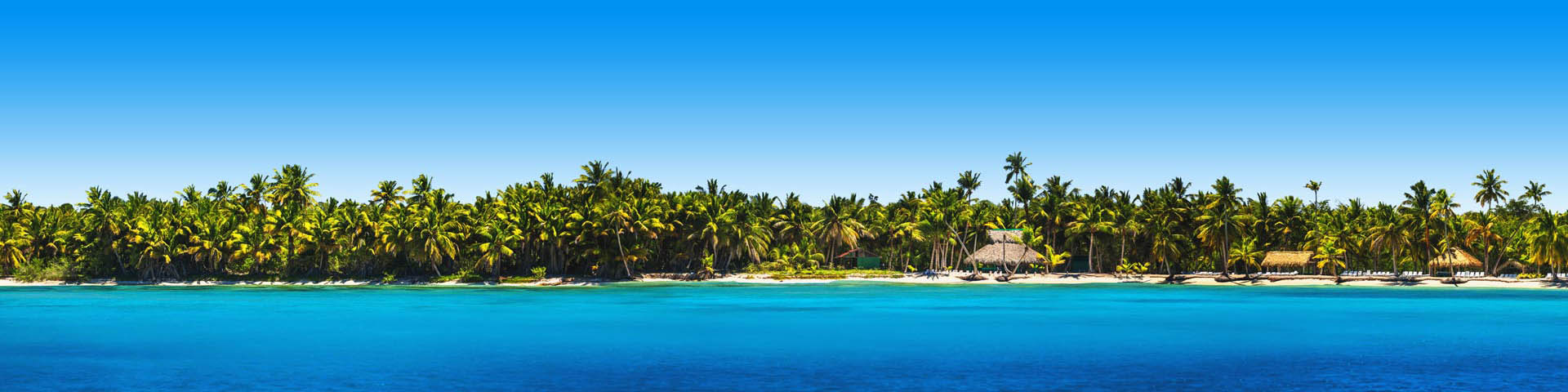 Strand vol met tropische palmbomen en een felblauwe zee aan de kust van de Dominicaanse Republiek