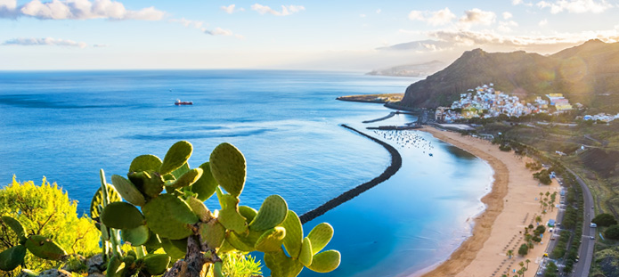 Tropisch zandstrand met helderblauwe zee en palmbomen