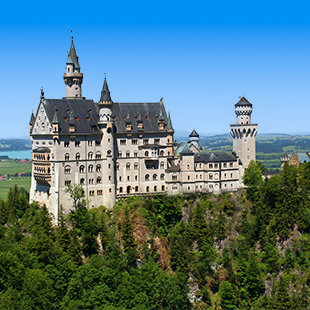 Groot kasteel op een beboste heuvel, met torens en kantelen, tegen een heldere blauwe lucht en groen landschap.