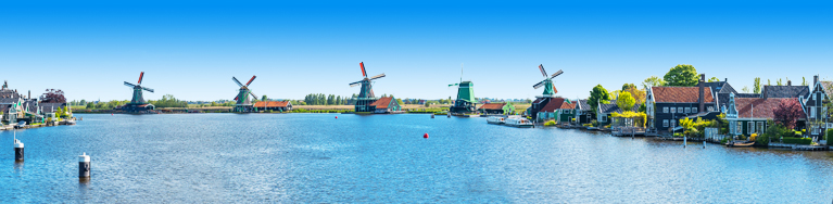 Gele tulpenvelden met windmolens in Nederland