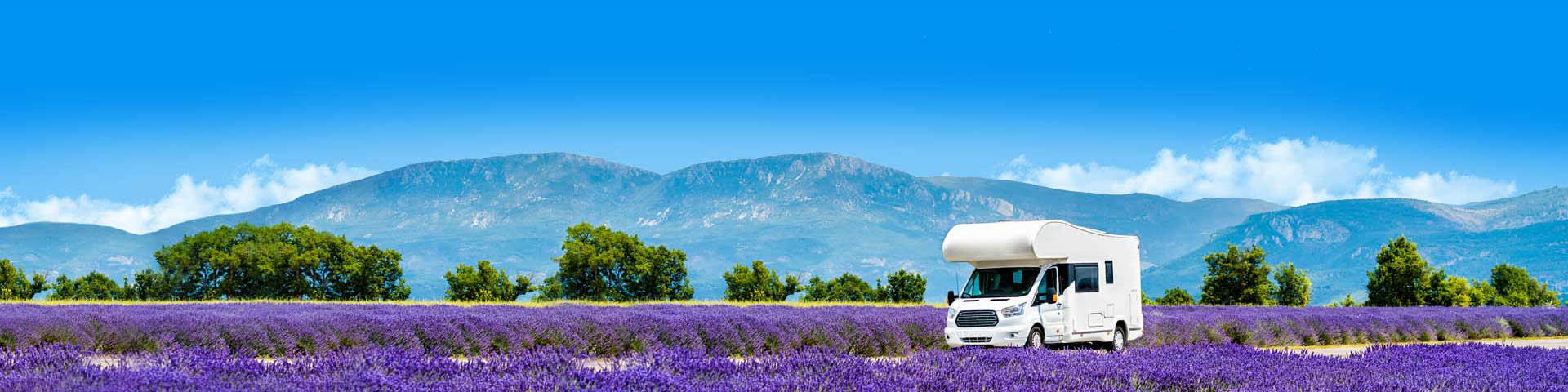 Camper aan het rijden door het lavendelveld tijdens vakantie Frankrijk