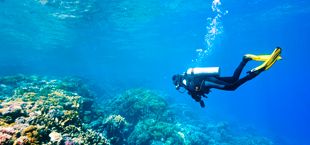 Een duiker onder de zee tijdens een duikvakantie
