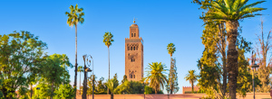 Koutoubia-moskee torent boven palmbomen in Marrakech, Marokko bij heldere lucht.