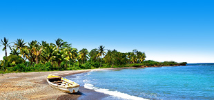 Een uitgestrekt, groen strand op Jamaica