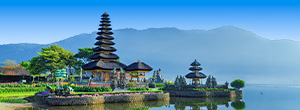 Landschap Bali met tempel