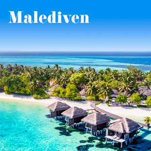 Strandpaviljoens omringd door palmbomen, Malediven, tropisch paradijs. Tekst: 'Malediven'.