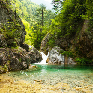 Waterval in de bossen van Mount Olympus, waar helder water in een groen bassin stroomt, omgeven door rotsen en dicht bos.