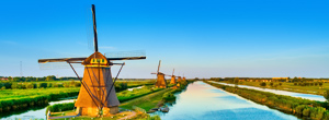 Molen in een tulpenveld in België