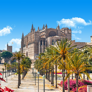 De haven van Palma de Mallorca