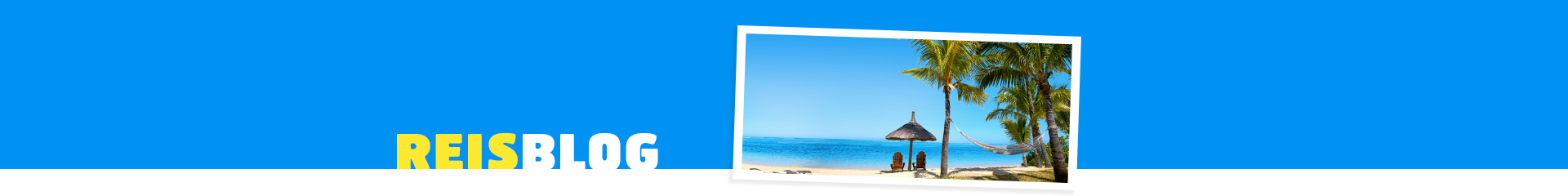 Prachtig wit strand met wuivende palmbomen en azuurblauwe zee.
