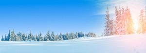 landschap Finland in de winter