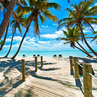 Houten pad leidt naar tropisch strand met palmbomen en helder blauw water in Key West, Florida.