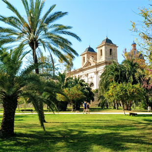 Turia-stadspark in Valencia met groen park, wandelpaden en bruggen, omringd door palmbomen en stedelijke gebouwen onder een heldere lucht.