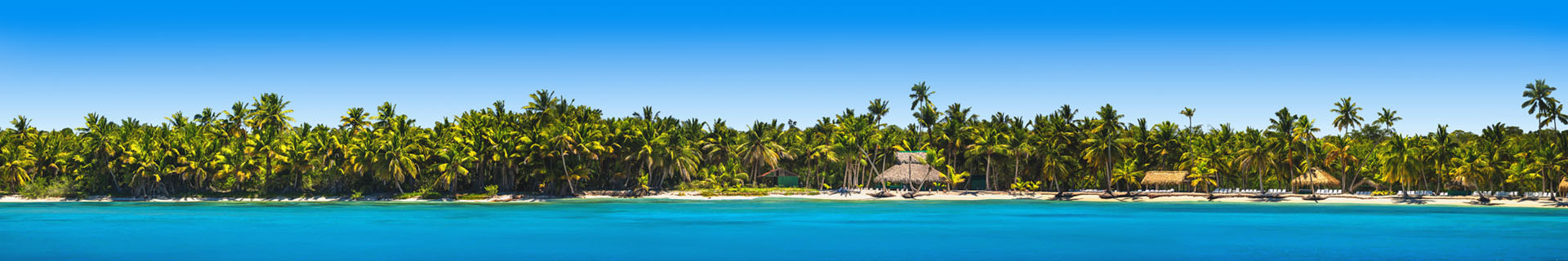 Strand met palmbomen en felblauwe zee Dominicaanse Republiek