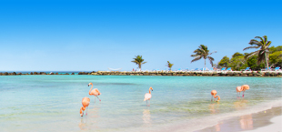 Reisadvies Curacao en Aruba